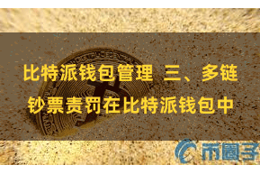 比特派钱包管理 三、多链钞票责罚在比特派钱包中