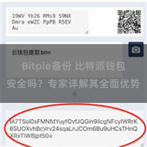 Bitpie备份 比特派钱包安全吗？专家详解其全面优势