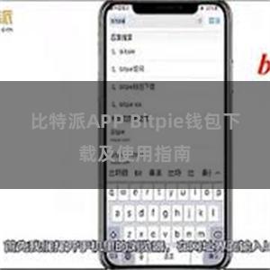 比特派APP Bitpie钱包下载及使用指南