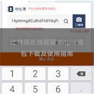 比特派在线客服 Bitpie钱包下载及使用指南