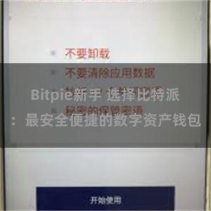 Bitpie新手 选择比特派：最安全便捷的数字资产钱包