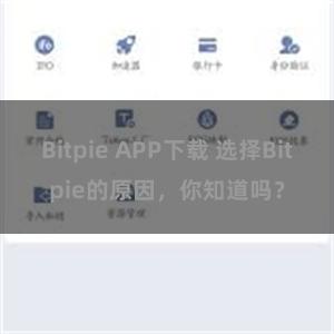 Bitpie APP下载 选择Bitpie的原因，你知道吗？