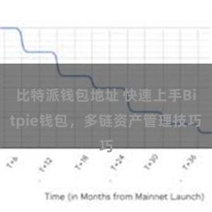 比特派钱包地址 快速上手Bitpie钱包，多链资产管理技巧