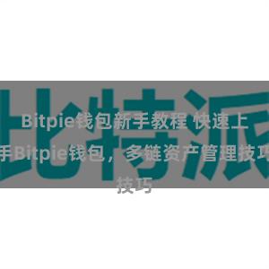 Bitpie钱包新手教程 快速上手Bitpie钱包，多链资产管理技巧