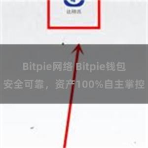 Bitpie网络 Bitpie钱包安全可靠，资产100%自主掌控