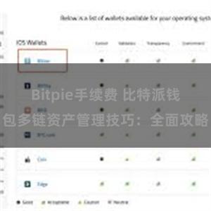 Bitpie手续费 比特派钱包多链资产管理技巧：全面攻略