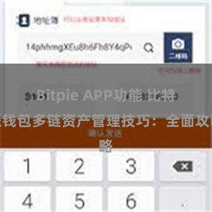 Bitpie APP功能 比特派钱包多链资产管理技巧：全面攻略