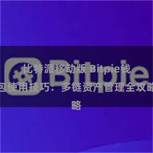 比特派移动版 Bitpie钱包使用技巧：多链资产管理全攻略