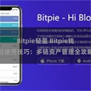 Bitpie轻量 Bitpie钱包使用技巧：多链资产管理全攻略