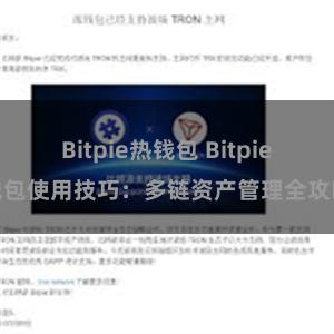 Bitpie热钱包 Bitpie钱包使用技巧：多链资产管理全攻略