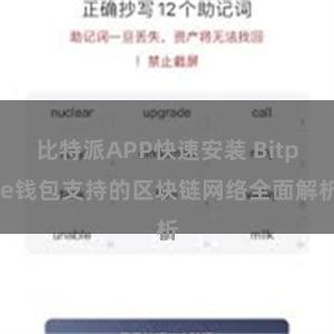 比特派APP快速安装 Bitpie钱包支持的区块链网络全面解析