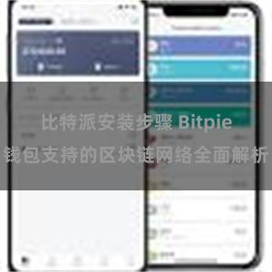 比特派安装步骤 Bitpie钱包支持的区块链网络全面解析