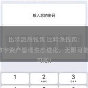 比特派热钱包 比特派钱包：数字资产管理生态进化，无限可能！