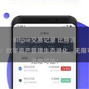 Bitpie交易记录 比特派钱包：数字资产管理生态进化，无限可能！