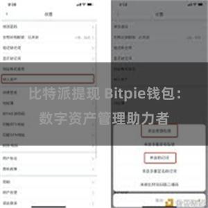 比特派提现 Bitpie钱包：数字资产管理助力者