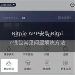 Bitpie APP安装 Bitpie钱包常见问题解决方法