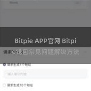 Bitpie APP官网 Bitpie钱包常见问题解决方法