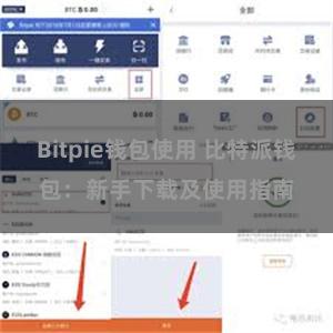 Bitpie钱包使用 比特派钱包：新手下载及使用指南