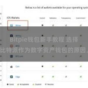 Bitpie钱包新手教程 选择比特派作为数字资产钱包的原因。