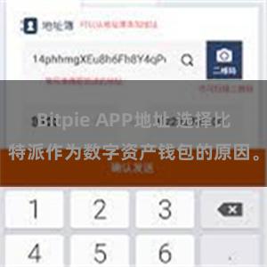 Bitpie APP地址 选择比特派作为数字资产钱包的原因。