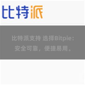 比特派支持 选择Bitpie：安全可靠，便捷易用。