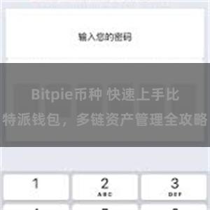 Bitpie币种 快速上手比特派钱包，多链资产管理全攻略