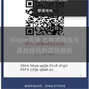 Bitpie资源 比特派钱包与其他钱包的区别解析