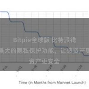 Bitpie全球版 比特派钱包：强大的隐私保护功能，让您资产更安全