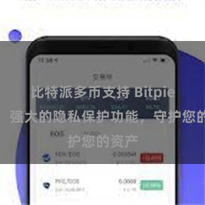 比特派多币支持 Bitpie钱包：强大的隐私保护功能，守护您的资产