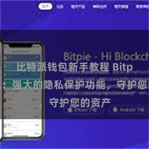 比特派钱包新手教程 Bitpie钱包：强大的隐私保护功能，守护您的资产