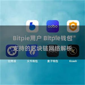 Bitpie用户 Bitpie钱包支持的区块链网络解析