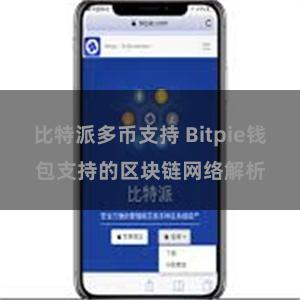 比特派多币支持 Bitpie钱包支持的区块链网络解析