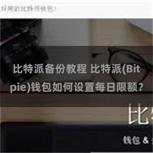 比特派备份教程 比特派(Bitpie)钱包如何设置每日限额？