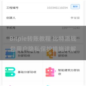 Bitpie转账教程 比特派钱包用户隐私保护措施详解