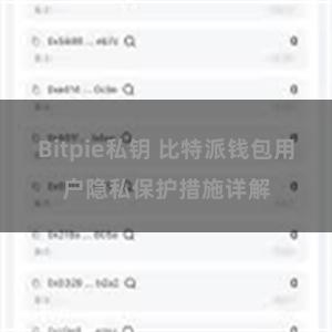 Bitpie私钥 比特派钱包用户隐私保护措施详解