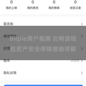 Bitpie用户指南 比特派钱包资产安全保障措施详解