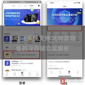 Bitpie系统支持 比特派钱包的冷存储功能解析