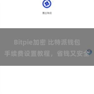 Bitpie加密 比特派钱包手续费设置教程，省钱又安全