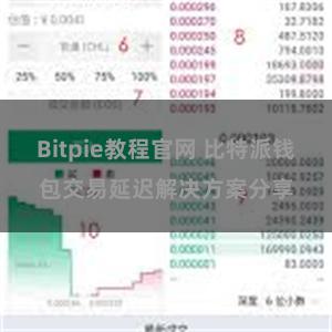 Bitpie教程官网 比特派钱包交易延迟解决方案分享
