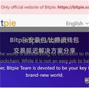 Bitpie安装包 比特派钱包交易延迟解决方案分享