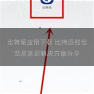 比特派应用下载 比特派钱包交易延迟解决方案分享