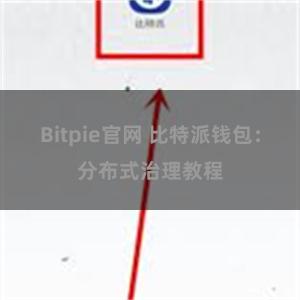 Bitpie官网 比特派钱包：分布式治理教程