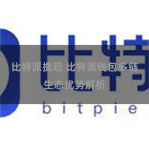 比特派提现 比特派钱包多链生态优势解析