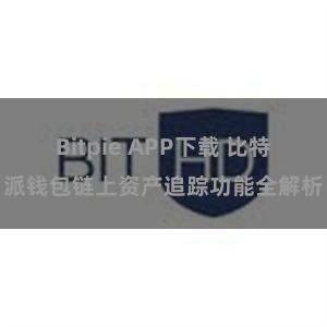 Bitpie APP下载 比特派钱包链上资产追踪功能全解析