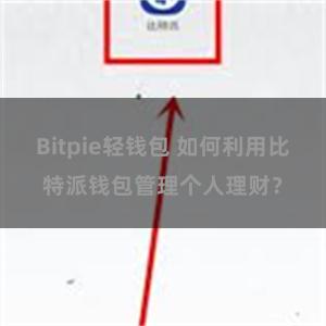 Bitpie轻钱包 如何利用比特派钱包管理个人理财？