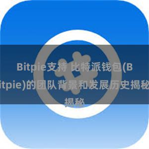 Bitpie支持 比特派钱包(Bitpie)的团队背景和发展历史揭秘