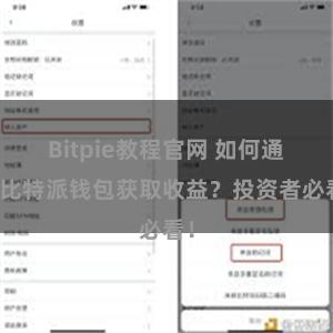 Bitpie教程官网 如何通过比特派钱包获取收益？投资者必看！