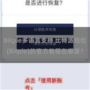 Bitpie多语言支持 比特派钱包(Bitpie)的官方教程在哪里？