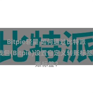 Bitpie轻量 如何通过比特派钱包(Bitpie)设置自定义转账标签？