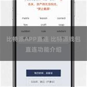 比特派APP直连 比特派钱包直连功能介绍